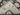 Folded view of Ziegler wool rug – backside weave detail
