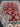 Rolled end of red & beige Turkish Kazakh wool rug
