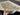 Handmade 5x6 wool rug shown in hands – green oriental floral design