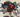 Close-up of floral pattern on beige boho wool rug
