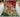 Full top view of 6x8 handmade wool & silk modern Mamluk rug