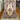 Full view of handmade 5x8 Persian-style silk oriental rug