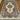 5x8 handmade silk rug displayed on hardwood living room floor