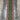 Sultani Runner Rug 5x17, Green Floral Wool Hallway Runner, Vintage Tribal Oriental Carpet, Long Runner for Entryway Kitchen
