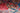 Pazyryk wool area rug 5x6 Red tribal geometric rug design