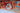 Khorjin wool area rug 7x10 blue red tribal geometric design