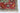 Oriental wool area rug 8x10 red green beige tribal geometric design