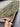 In-hand view of authentic handknotted Sultani runner rug in green wool